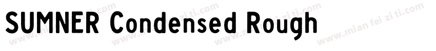 SUMNER Condensed Rough字体转换